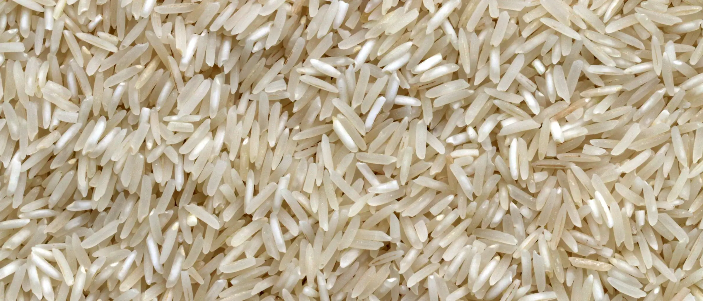 Close-up of cleaned rice grain