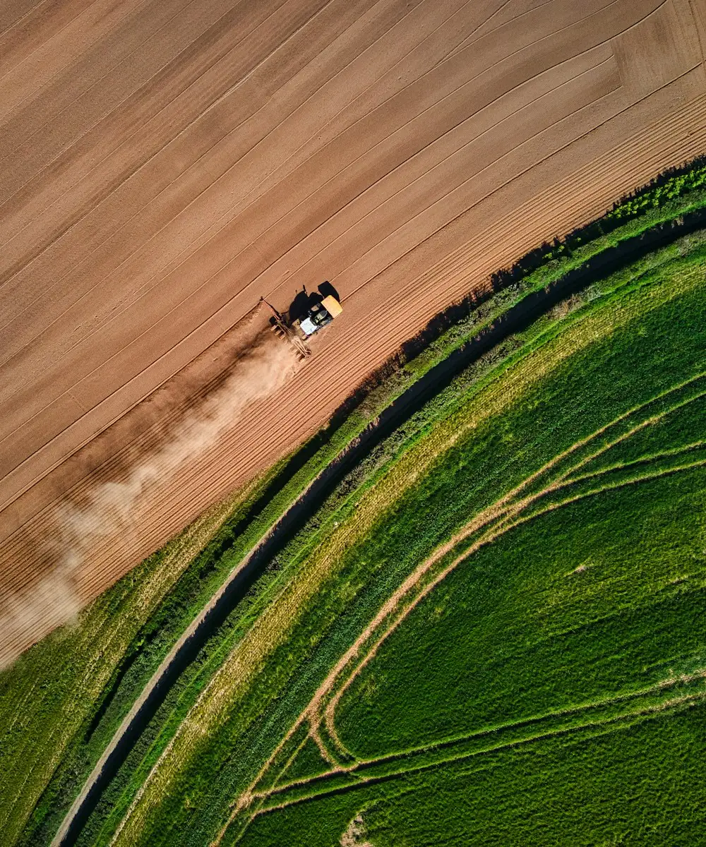 Aerial view of farmland at harvest