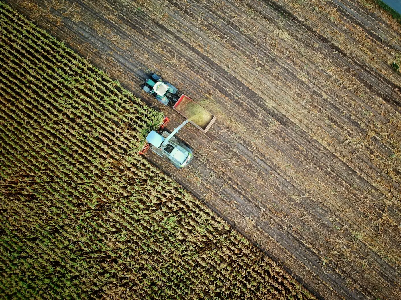 Harvester working a field, seen from above